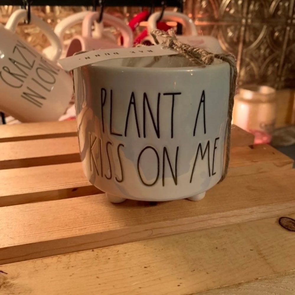 COPY - Rae Dunn mini planter Iridescent 3 1/2 x 4